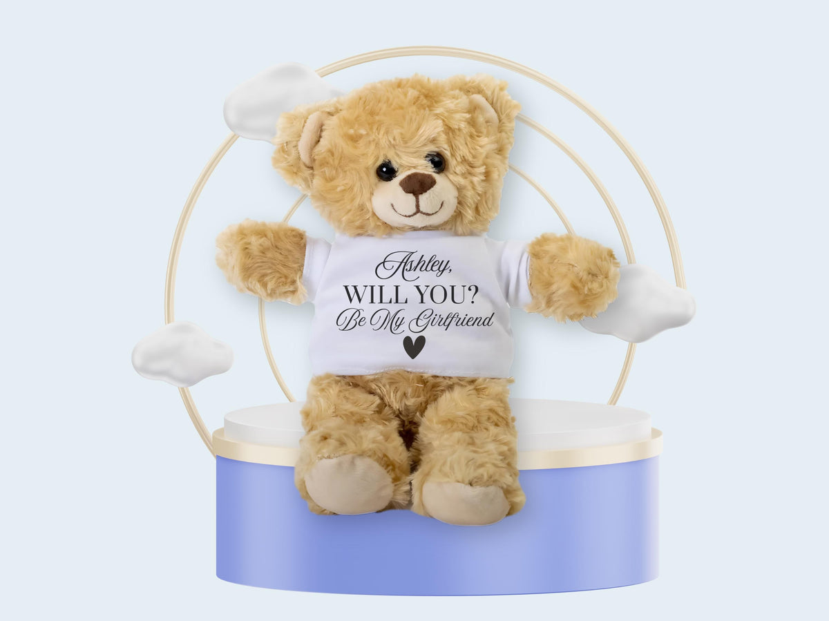 Personalized Teddy Bear Proposal Gift: "Will You Be My Girlfriend?"