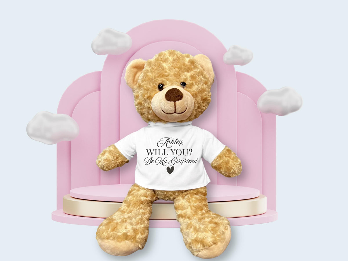 Personalized Teddy Bear Proposal Gift: "Will You Be My Girlfriend?"