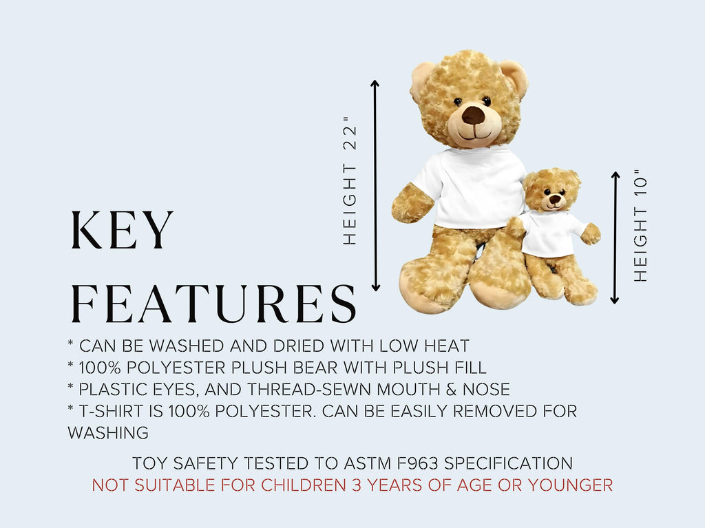 Personalized Teddy Bear Proposal Gift: "Will You Be My Girlfriend?"
