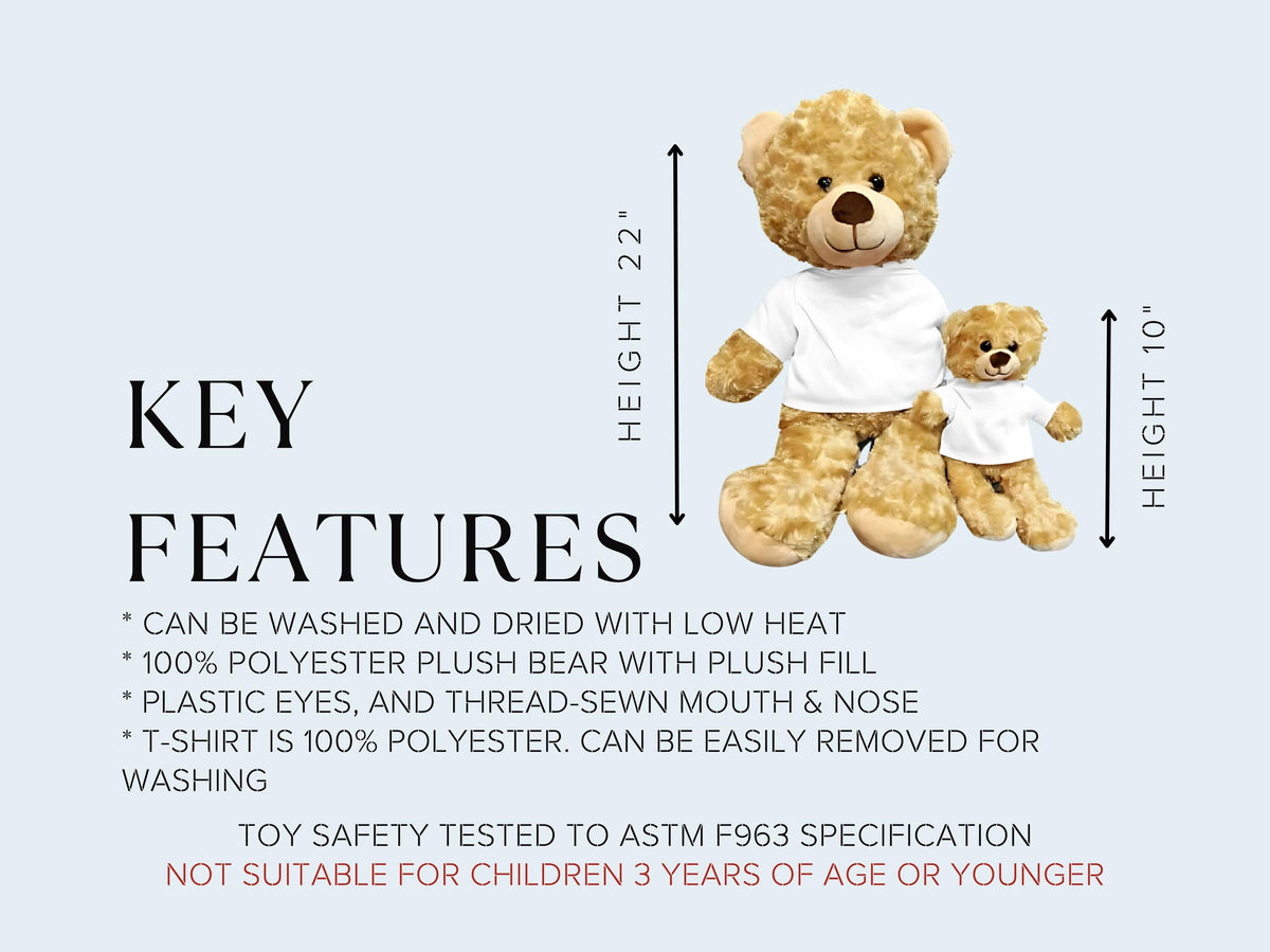 Personalized Teddy Bear Proposal Gift: "Will You Be My Girlfriend?"