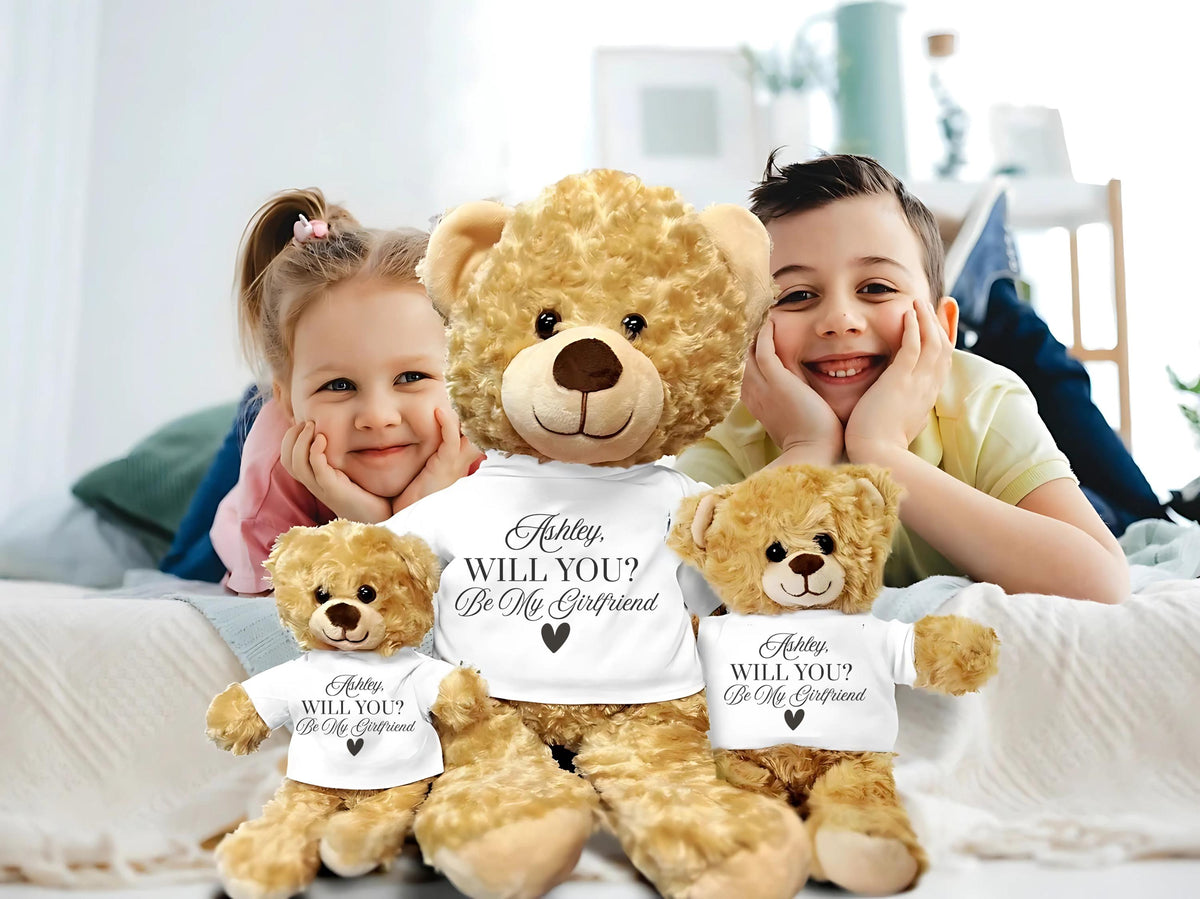 Personalized Teddy Bear Proposal Gift: "Will You Be My Girlfriend?"