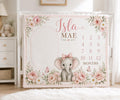 Personalized Elephant Milestone Blanket, Baby Girl Monthly Milestone Blanket, Floral Baby Blanket, Custom Name Blanket, Baby 