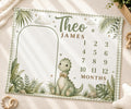Personalized Dinosaur Milestone Blanket, Baby Boy Monthly Milestone Blanket, Dino Baby Blanket, Custom Name Blanket, Dinosaur